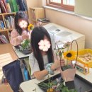 늘푸른초등학교 이미지