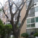 선수촌로21번길 이미지