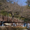 장승포체육공원 이미지