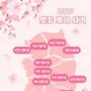 개화 이미지