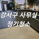 돌핀크린 이미지