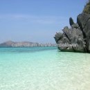 수박이네 이미지