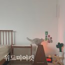 몽땅 펫샾 이미지