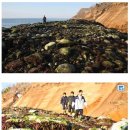 NHK-일본 하루 아침에 땅이 50ft 높이, 1000ft 넓이로 떠올랐다는 뉴스입니다 이미지