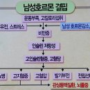 하나열쇠 이미지