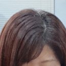 헤어몽 이미지