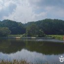 회암소류지 이미지