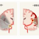 본드림한의원 이미지