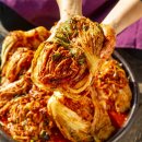 초록통증의학과내과의원 이미지