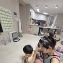 (주)웅진플레이도시 | 1월 일상 기록｜중장비 케이크 만들기·사이버트럭·웅진플레이도시