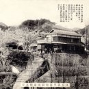 산하유