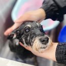 수원-0591 이미지