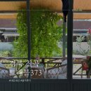 트래블373 네이버블로그
