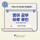 에스플러스영어교습소