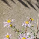 용소2길 이미지