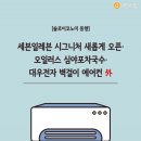 대우닭 이미지
