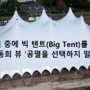 한국의 보수는 올해 7월에 미국식 빅텐트 구조로의 변화를 시도해야만 된다 (정동희) 현 시국을 구하는 유일한 처방전 【 정동희 】 최 이미지