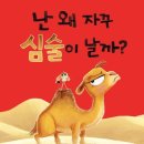 심술 뉴스1