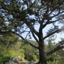 여우의 섬에서 젖술에 취하다! - 여수시 화정면 낭도(狼島) 낭도산(상신봉, 상산 278.9m) 산행 및 낭도 둘레길 걸어보기 이미지