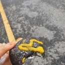 본빠네 | 군산 동네빵집 투어, 슈크림빵의 본좌 '본빠네 빵집'