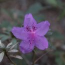 도림국제관광호텔 이미지