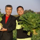 김태근농장 이미지