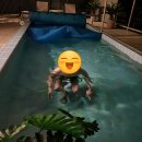 휴라채 이미지