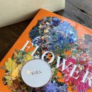 지엘트리 이미지