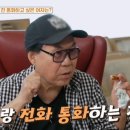 [종편] 조영남 "전처 윤여정과 통화하고파... 묻고 싶은 것 있다" 이미지