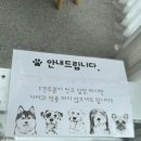 이쁘게 잘라줄개 이미지