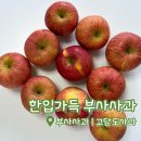 달콤한 사과이야기 | [한입과득 부사사과] 청송사과 | 고당도사과 | 아삭하고 달콤한 청송사과 솔직 먹방 후기 🍎