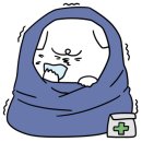 바이초콜렛