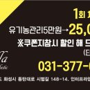 델라 에스테틱 이미지