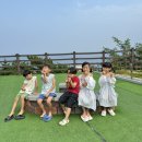이디야영덕