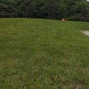 코스카cc 이미지