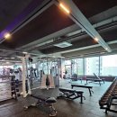 모조 피트니스 이미지