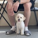 황자반놀이터 이미지