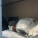 달하노피곰 캡슐호텔 이미지