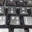 안가 이미지