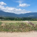 평화2리 이미지