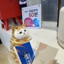 더긋다 | 💫 부평 속눈썹연장 후기 | 더긋다