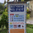 진주숲어린이집 | 진주여행, 아이와 나들이_&#39;월아산 숲속어린이도서관&#39;