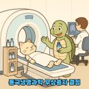 동국생명과학 주식회사 | [동국생명과학] 무상증자 결정! 주요 사업부터 실적 흐름까지 한눈에 정리해드립니다
