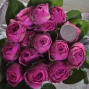 한아름농장 | 한아름플라워 장미구매후기