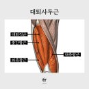 직장인의 동대문 헬스장 강사 세미나 참석 후기!