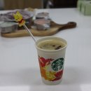 멍냥펫키친