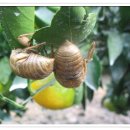 새들의 정원 이미지