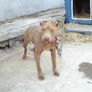 오공이 농장 이미지