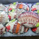 우리농수산물 | 수원농수산물시장 믿음수산 방문 후기 💙 우리가족 수원농수산물도매시장 해산물 쇼핑 완전 만족 추천!!!