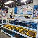 다이버회수산 이미지